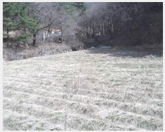  2025Ÿ��350 ���� ���ֽ� �౸�� 360       ����(����)���