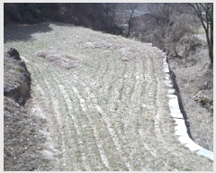  2025Ÿ��350 ���� ���ֽ� �౸�� 360       ����(����)���