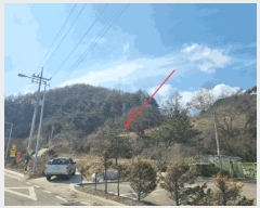  2025Ÿ��398  �����