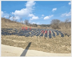  2025Ÿ��398  �����