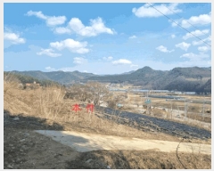  2025Ÿ��398  �����