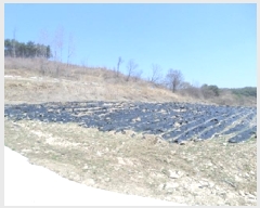  2025Ÿ��398  �����