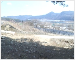  2025Ÿ��398  �����