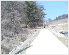  2025Ÿ��398  �����