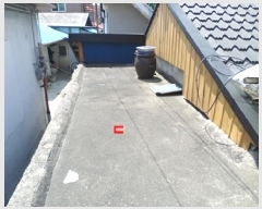  2025Ÿ��770  ���ð��