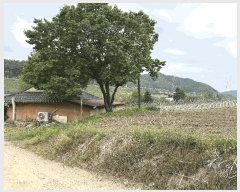  2025Ÿ��817  �����