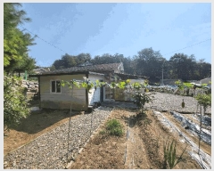  2025Ÿ��916 ���� Ⱦ���� ��õ�� ��븮 415-7      ���ð��