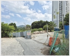  2025Ÿ��1193 ���� ���ֽ� �౸�� 1534-7       ����(����)���