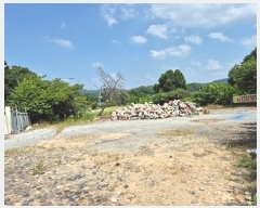  2025Ÿ��1193 ���� ���ֽ� �౸�� 1534-7       ����(����)���