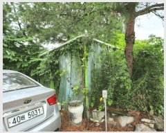  2025Ÿ��1483 ���� Ⱦ���� �г��� �ο��� 616-6      ���(ķ����)���