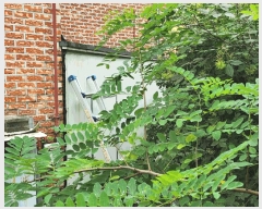  2025Ÿ��1483 ���� Ⱦ���� �г��� �ο��� 616-6      ���(ķ����)���