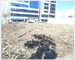  2025Ÿ20057  ֽ   1353-2      ()