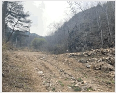  2025Ÿ��20504 ���� ���ֽ� �Ÿ��� ���и� 727-8      ����(��1)���