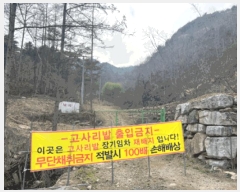  2025Ÿ��20504  �Ӿ߰��