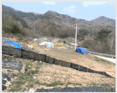  2025Ÿ��20504  �Ӿ߰��