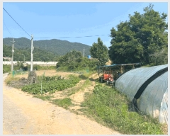  2025Ÿ��20582 ���� ���ֽ� ������ �ݰ踮 1456      ����(��1)���