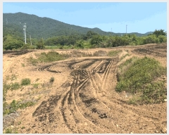  2025Ÿ��20582 ���� ���ֽ� ������ �ݰ踮 1456      ����(��1)���