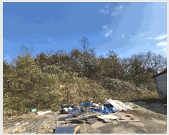  2025Ÿ��20596 ���� Ⱦ���� ��õ�� ���ϸ� ��10      ������