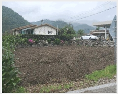  2025Ÿ��20628 ���� ���ֽ� �Ÿ��� �Ÿ��� 216-6      ����(��1)���