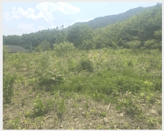  2025Ÿ��20638 ���� ���ֽ� ȣ���� �� 374      ����(��1)���