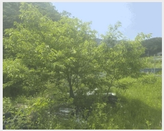  2025Ÿ��20638 ���� ���ֽ� ȣ���� �� 374      ����(��1)���