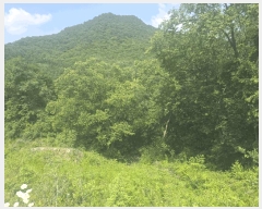  2025Ÿ��20638 ���� ���ֽ� ȣ���� �� 374      ����(��1)���