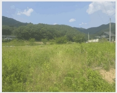  2025Ÿ��20638 ���� ���ֽ� ȣ���� �� 374      ����(��1)���