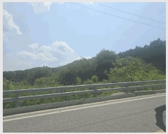  2025Ÿ��20638 ���� ���ֽ� ȣ���� �� 374      ����(��1)���