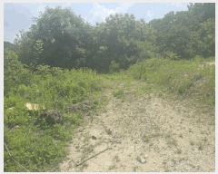  2025Ÿ��20638 ���� ���ֽ� ȣ���� �� 374      ����(��1)���