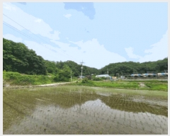  2025Ÿ��20642 ���� ���ֽ� ������ ���̸� ��94      ����(�Ӿ�)���