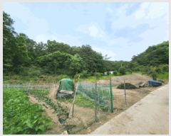  2025Ÿ��20642 ���� ���ֽ� ������ ���̸� ��94      ����(�Ӿ�)���