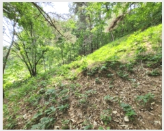  2025Ÿ��20642 ���� ���ֽ� ������ ���̸� ��94      ����(�Ӿ�)���