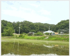  2025Ÿ��20642 ���� ���ֽ� ������ ���̸� ��94      ����(�Ӿ�)���