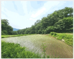  2025Ÿ��20642 ���� ���ֽ� ������ ���̸� ��94      ����(�Ӿ�)���