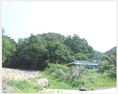  2025Ÿ��20642 ���� ���ֽ� ������ ���̸� ��94      ����(�Ӿ�)���