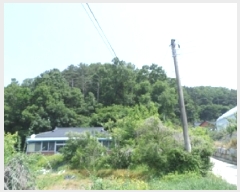  2025Ÿ��20642 ���� ���ֽ� ������ ���̸� ��94      ����(�Ӿ�)���