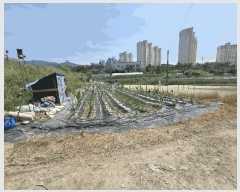  2025Ÿ��20652 ���� ���ֽ� �౸�� 1423       ����(��)���