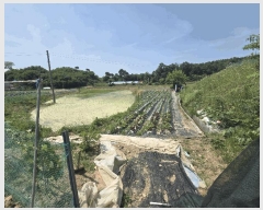  2025Ÿ��20652 ���� ���ֽ� �౸�� 1423       ����(��)���