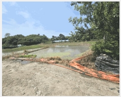  2025Ÿ��20652 ���� ���ֽ� �౸�� 1423       ����(��)���