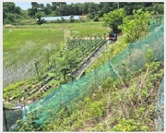  2025Ÿ��20652 ���� ���ֽ� �౸�� 1423       ����(��)���