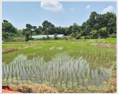  2025Ÿ��20652 ���� ���ֽ� �౸�� 1423       ����(��)���