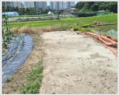  2025Ÿ��20652 ���� ���ֽ� �౸�� 1423       ����(��)���