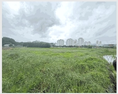  2025Ÿ��20686  ����