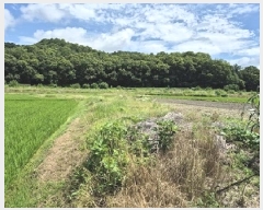  2025Ÿ��20686  ����