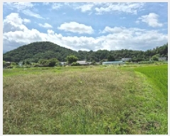  2025Ÿ��20686  ����