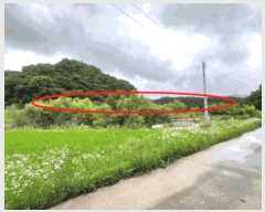  2025Ÿ��20698 ���� ���ֽ� ����� ��ȸ� 142      ����(��)���