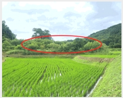  2025Ÿ��20698 ���� ���ֽ� ����� ��ȸ� 142      ����(��)���