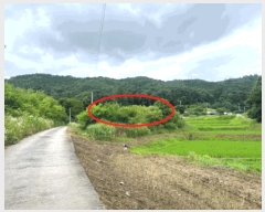  2025Ÿ��20698 ���� ���ֽ� ����� ��ȸ� 142      ����(��)���