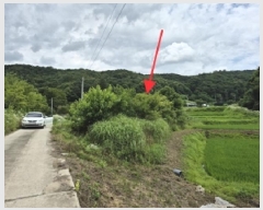  2025Ÿ��20698 ���� ���ֽ� ����� ��ȸ� 142      ����(��)���