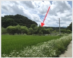  2025Ÿ��20698 ���� ���ֽ� ����� ��ȸ� 142      ����(��)���